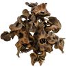 Hobby Jungle star flower 25 pièces