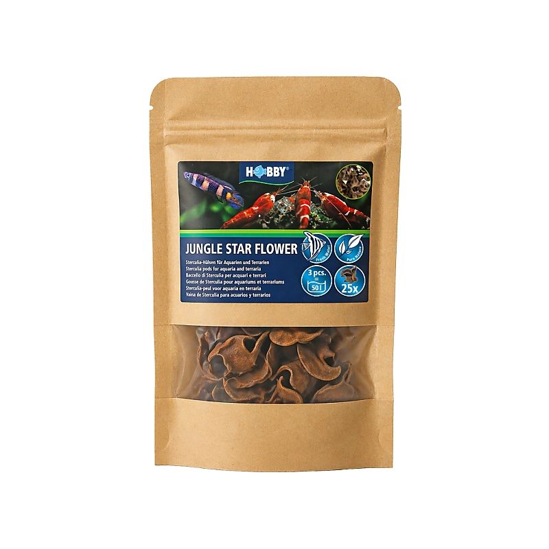 Hobby Jungle star flower 25 pièces