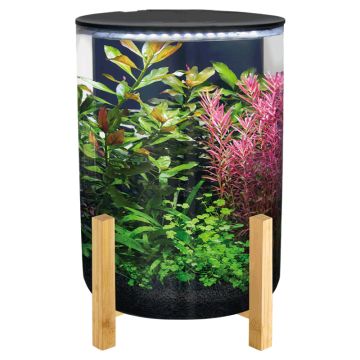 Superfish Orbiq 11 noir