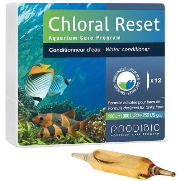 Prodibio Chloral Reset 12 ampoules