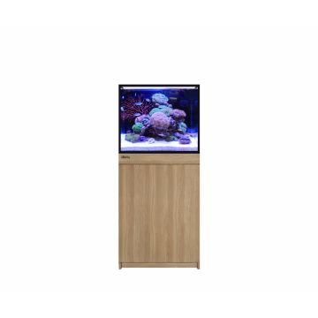 Reef Frame 170