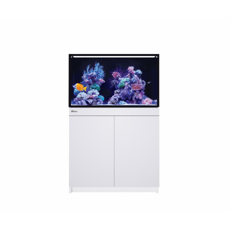 Reef Frame 250