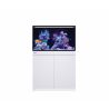 Reef Frame 250 Max