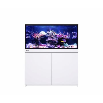 Reef Frame 350 Max