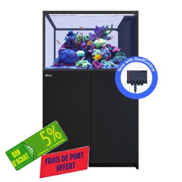 Reefer™ Peninsula 350 G3