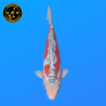 Koi Japan Nisai Shusui kweker Tanaka 40-45 cm