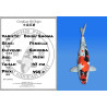 Koi Japan Nisai Doitsu Showa Vrouw kweker Shinoda 47 cm