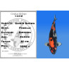 Koi Japan Sansai Ginrin Showa Vrouw kweker Shinoda 61 cm