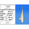 Koi Japan Nisai Yellow Kabuto Vrouw kweker Izumiya 57 cm