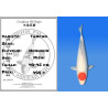 Koi Japan Nisai Tancho kweker Hoshikin 40-45 cm