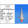Koi Japon Nisai Ginrin Tancho eleveur Shinoda 40-42 cm