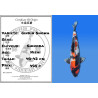 Koi Japon Nisai Ginrin Showa eleveur Shinoda 40-42 cm