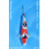 Koi Japan Nisai Doitsu Sanke kweker Shinoda 40-42 cm