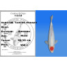 Koi Japan Nisai G. Tancho Kohaku kweker Shinoda 40-42 cm