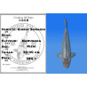 Koi Japan Nisai Ginrin Soragoi kweker Marusaka 35-40 cm