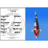 Koi Japon Nisai Showa eleveur Tanaka 40-45 cm