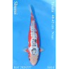 Koi Japon Nisai Shusui eleveur Tanaka 40-45 cm