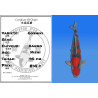 Koi Japon Nisai Goshiki eleveur Kanno 40 cm