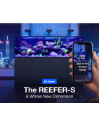 Reefer Max Series (avec matériels)