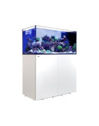 Reefer Peninsula G2+