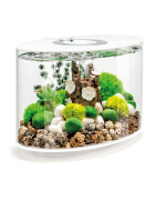 BiOrb aquarium LOOP