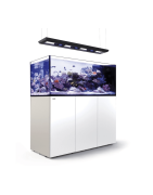 Peninsula G2+ Deluxe (avec éclairages)