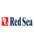 Red Sea