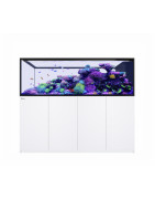 Reefer Peninsula G3