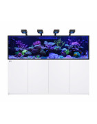 Reefer Max G3