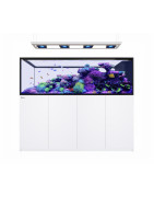 Reefer Max Peninsula G3