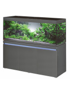 Aquariums Ensemble