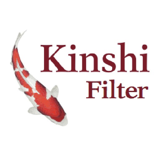 Kinshi