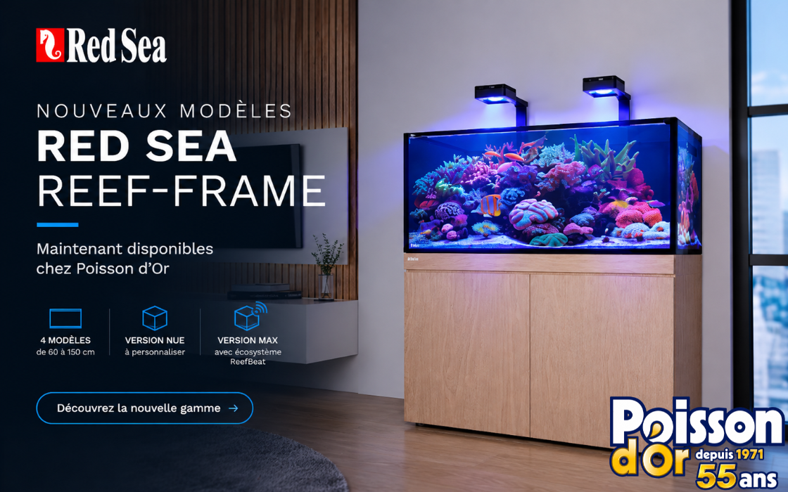 Image Slider