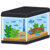 Aquariums marin